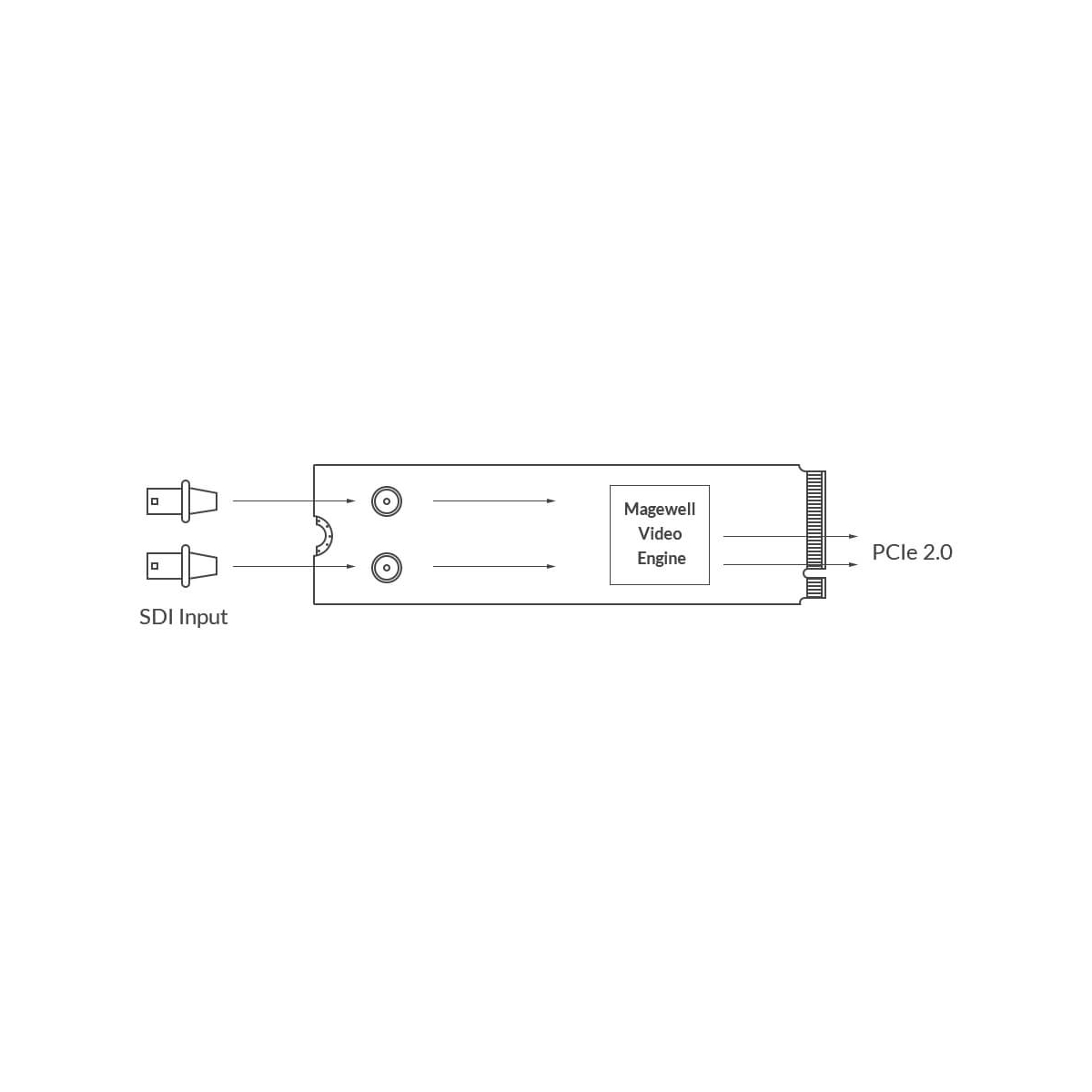 【Magewell】Eco Capture Dual SDI M.2 Card