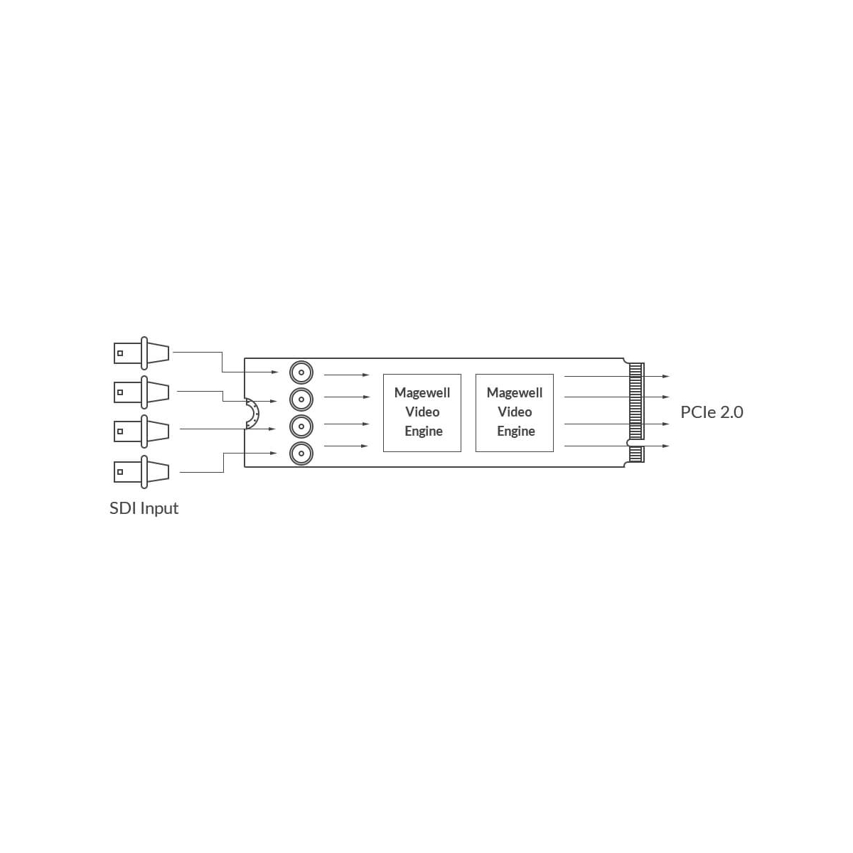 【Magewell】Eco Capture Quad SDI M.2 Card