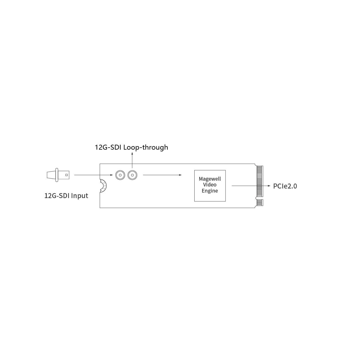 【Magewell】Eco Capture SDI 4K Plus M.2 Card