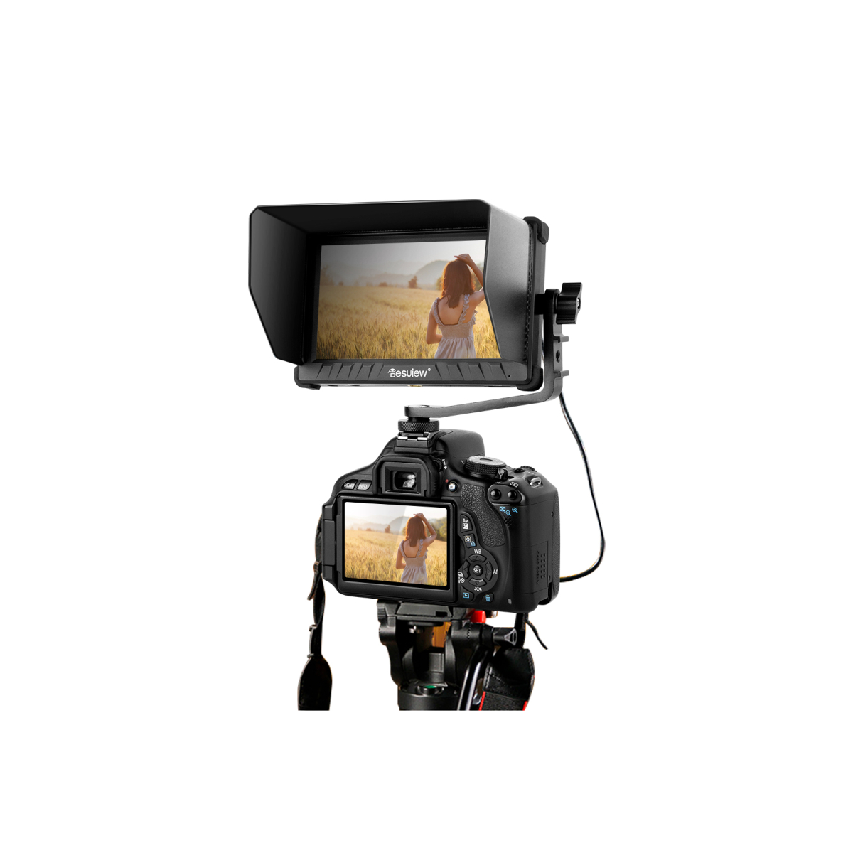 【Desview】R5 II 5.5