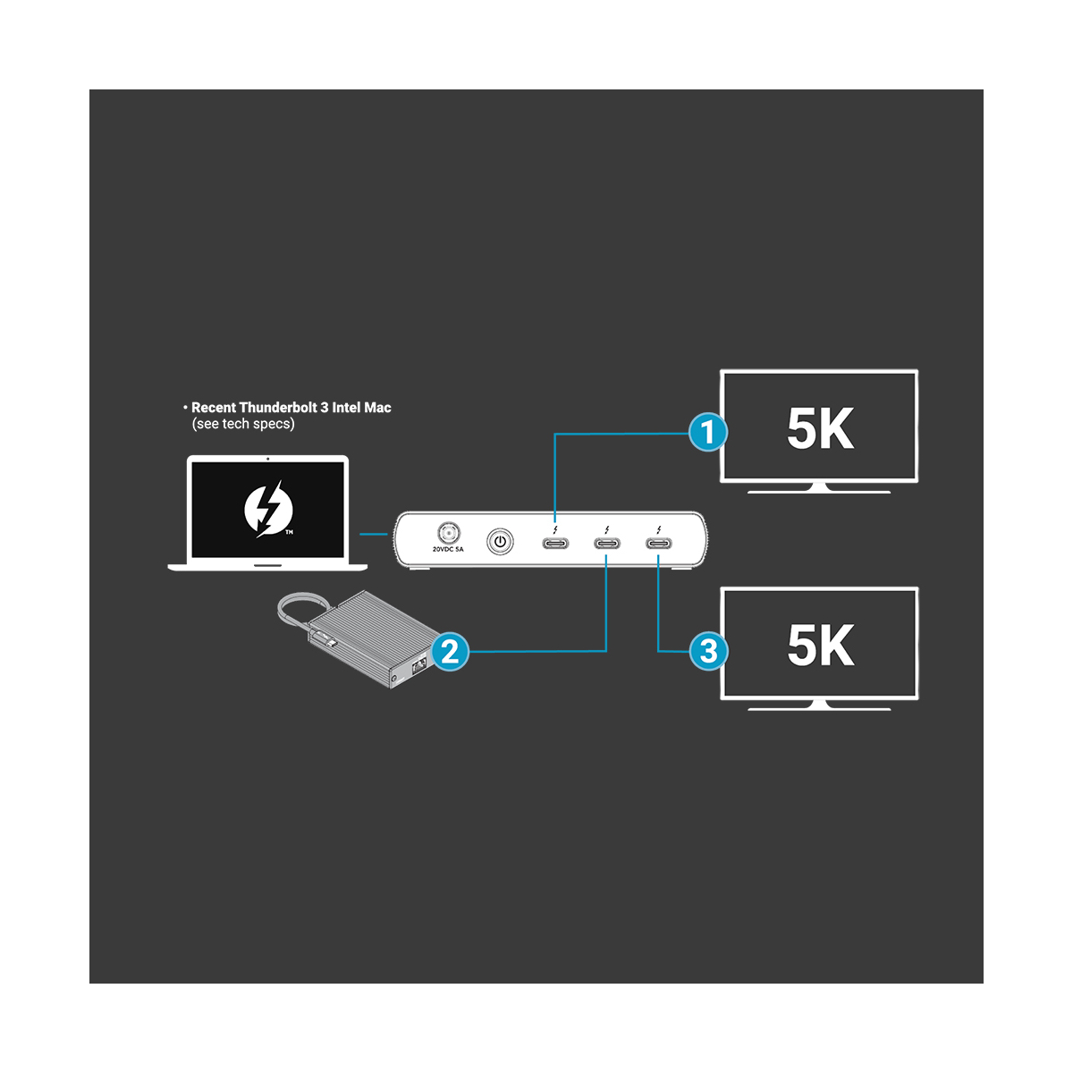 【Sonnet Technologies】Echo 5 Thunderbolt 4 Hub