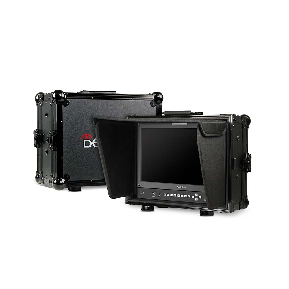 【Desview】D17 17.3