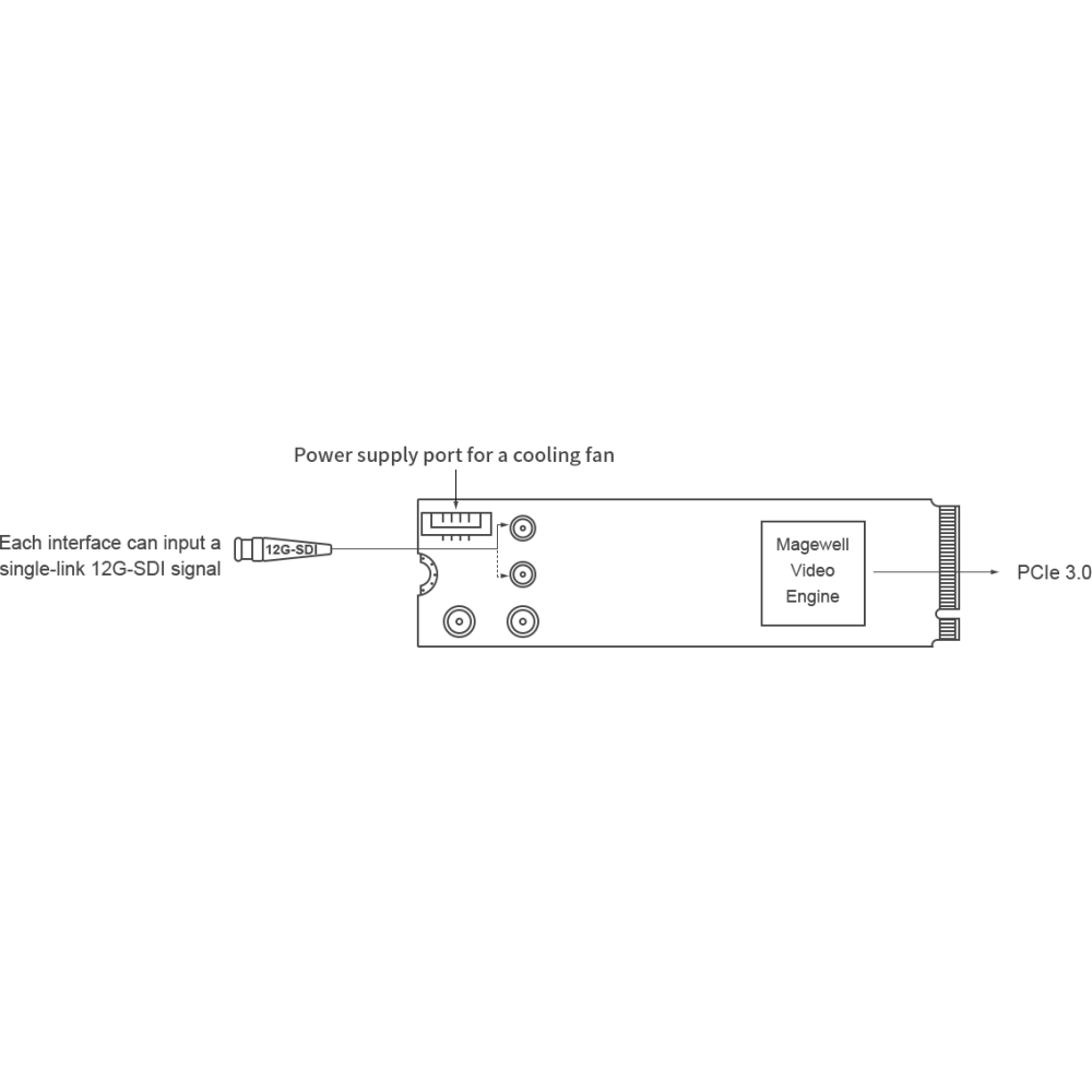 【Magewell】Eco Capture 12G SDI 4K Plus M.2