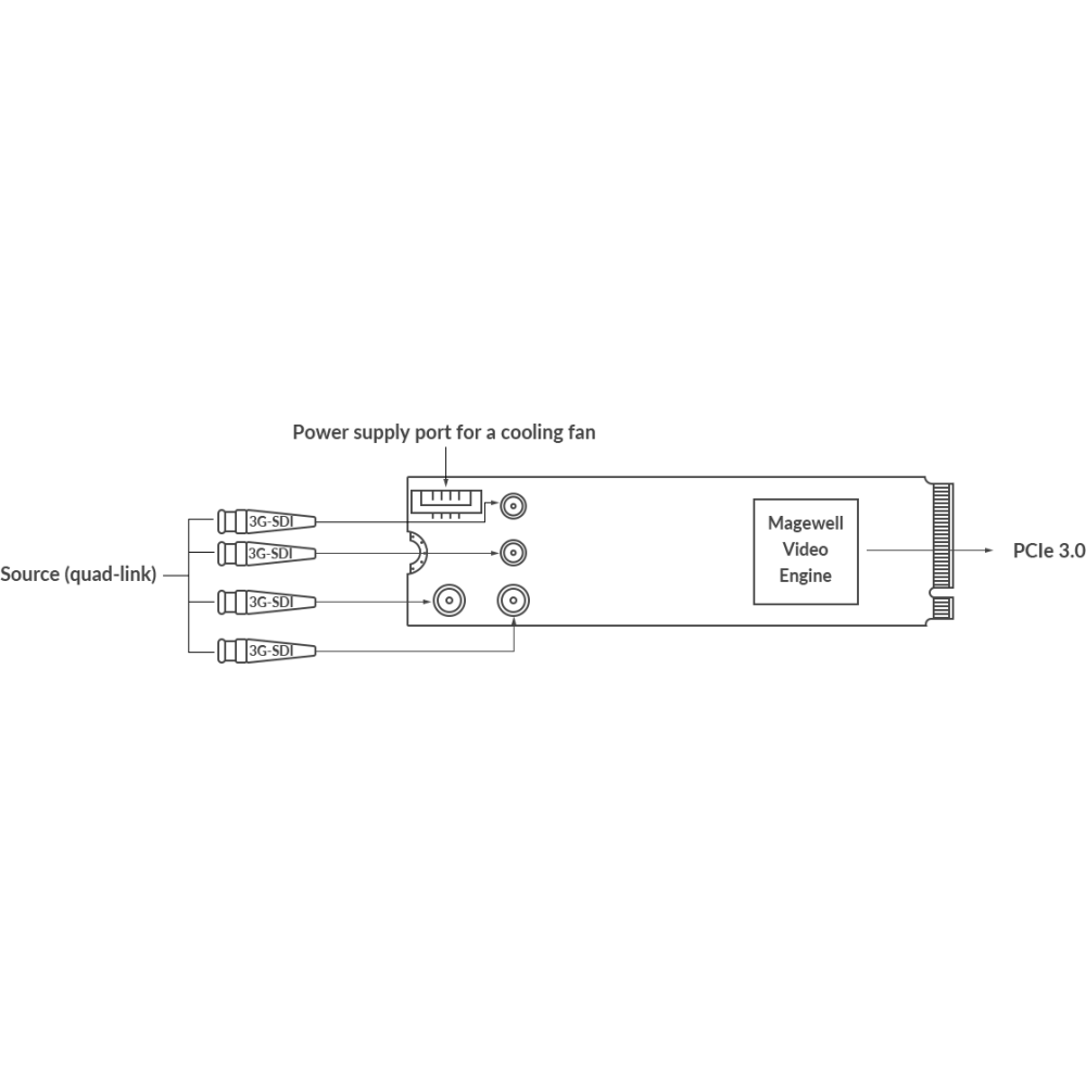 【Magewell】Eco Capture 12G SDI 4K Plus M.2