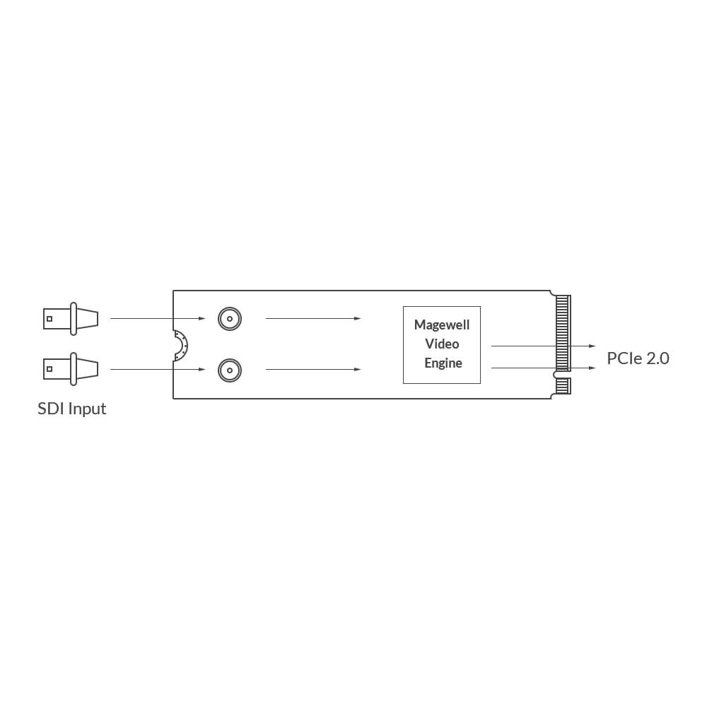 【Magewell】Eco Capture Dual SDI M.2 Card