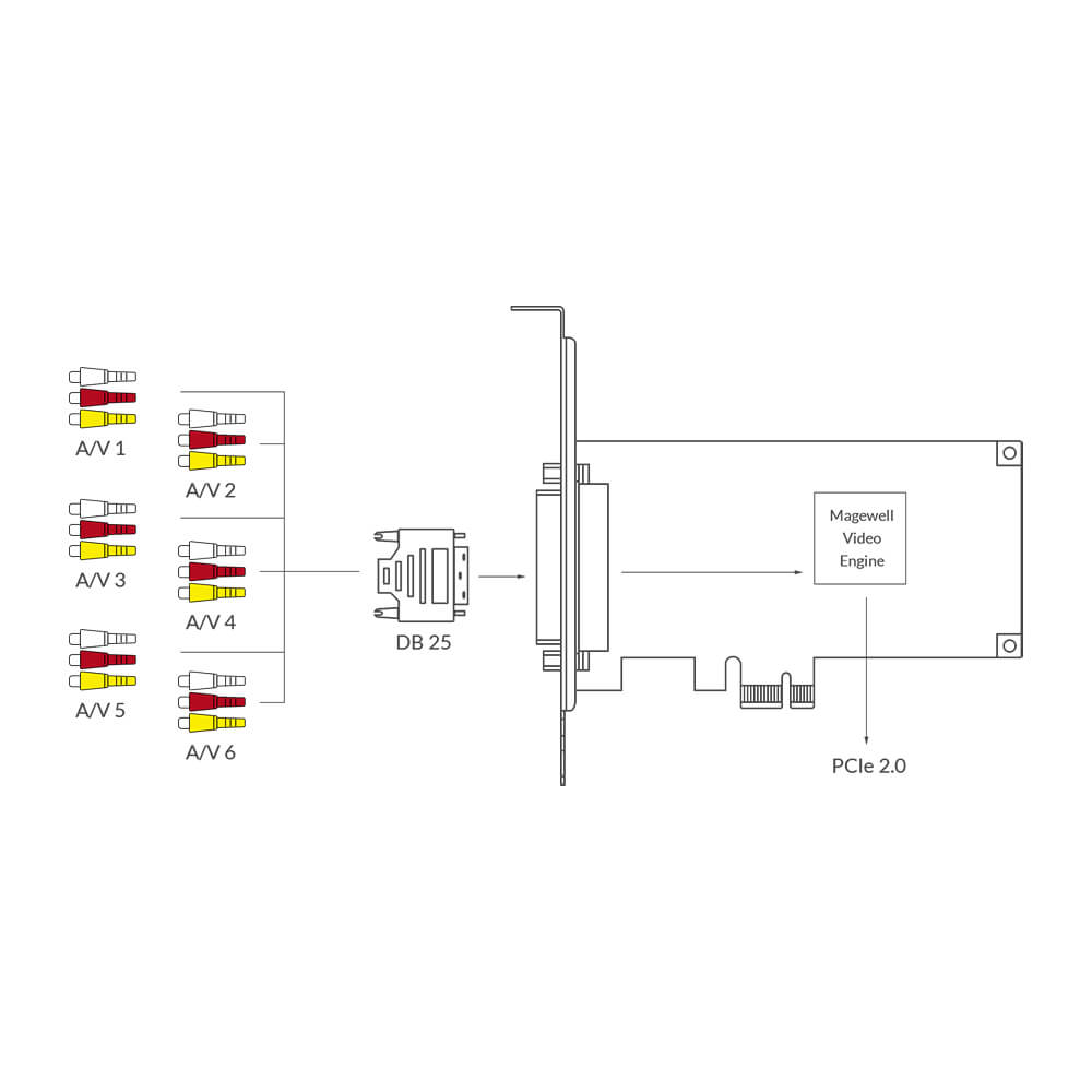 【Magewell】Pro Capture Hexa CVBS 6-Channel Capture Card