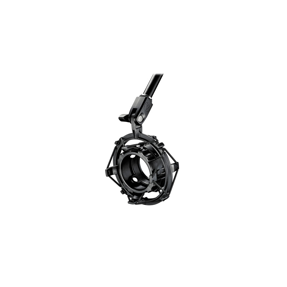 【Audio-technica】BP40 Large-Diaphragm Dynamic Broadcast Microphone